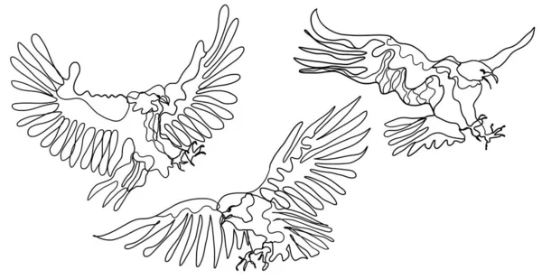 Zestaw Linii Sztuki Raptor Eagle Birds Rysowanie Minimalna One Line Obrazy Stockowe bez tantiem