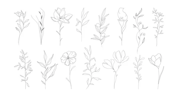 Flores Línea Fina Doodle Ornamental Floral Elements Nature Botanical Leaves Vectores de stock libres de derechos