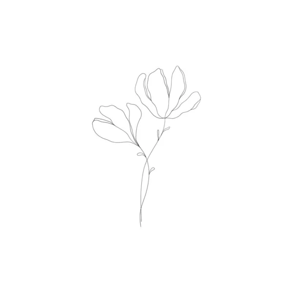 Branche Florale Linéaire Minimaliste Petit Élément Ornemental Floral Minuscule Ligne — Image vectorielle