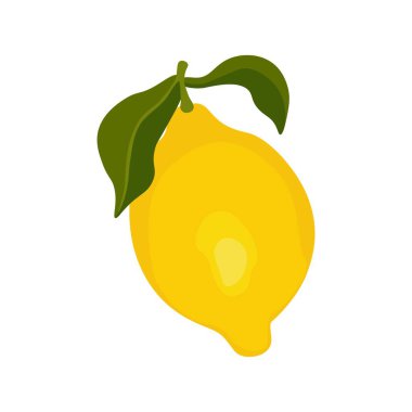 Tam limon. Yeşil yapraklı sarı turunçgil meyvesi, taze organik ekşi sağlıklı yiyecek, doğal yaz vejetaryen malzemesi. Vektör izole illüstrasyonu.