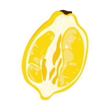 Limon dilimi. Çizgi film sarı turunçgiller hamurlu ve kabuklu, olgun organik ekşi sağlıklı yiyecekler, doğal yaz vejetaryen malzemeleri. Vektör izole illüstrasyonu.