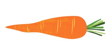 Havuç ikonu. Yeşil yapraklı taze turuncu havuç kökü sebzesi, sağlıklı doğal yiyecek, organik çiftlik havucu ürünü, diyet besin maddesi. Vektör izole illüstrasyonu.