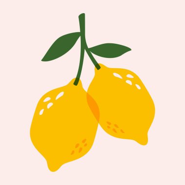 Limon dalda. Yapraklı soyut narenciye, sitrin meyveli botanik çiçek unsurları, riso baskı efekti. Vektör limon ağaç illüstrasyonu.