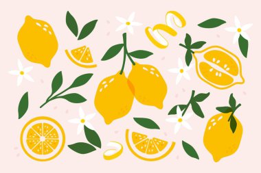 Limon meyvesi Yapraklı taze turunçgiller, olgun sarı limonlar ve bütün parçalar, yapraklı, kabuklu ve çiçekli soyut sitrik meyveler, doğal organik tatlı ekşi limonata. Vektör çizgi film seti.