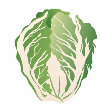 Yeşil lahana ikonu. Taze salata sebzesi, Çin lahana yaprağı düz gradyan stili, yemek pişirmek için sağlıklı besin maddesi, doğal tarım ürünü. Vektör izole illüstrasyonu.