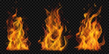 Şeffaf arka planda yanan kamp ateşi ve kıvılcımlar. Karanlık illüstrasyonlarda kullanılmak üzere. Sadece vektör biçiminde şeffaflık