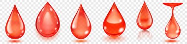 Set of realistic translucent water drops in red colors in various shapes with glares and shadows, isolated on transparent background. Transparency only in vector format