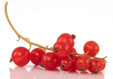 Beyaz arkaplanda kırmızı frenk üzümü izole edildi