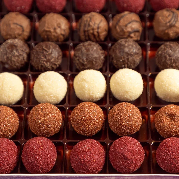 Цветные Шоколадные Трюфели Какао Порошком — стоковое фото