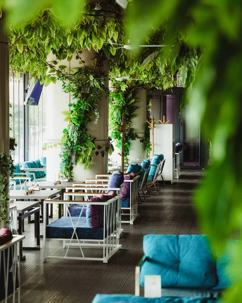 Květinový Interiér Moderní Kavárně Restaurace Rostlinami Řemeslných Hrncích Zdi Baku — Stock fotografie