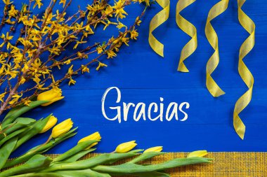 Spanish Text Gracias Means Thank You. Yellow Spring Flowers Like Tulip And Branches. Festive Decoration With Ribbon. Blue Wooden Background