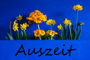 German Text Auszeit Means Downtime. Yellow Beautiful Spring Flowers Like Narcissus. Blue Wooden Background