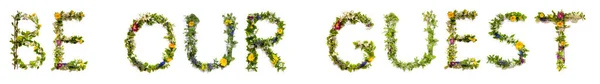 Цветущие Буквы Создающие Английское Слово Будь Нашим Гостем Цветные Весенние — стоковое фото