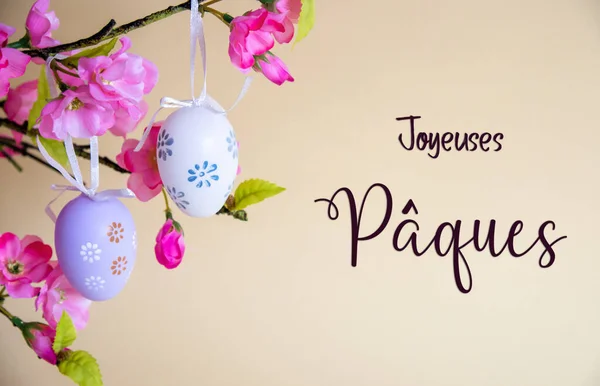Prachtige Paaseieren Decoratie Met Lentebloemen Frans Tekst Joyeuses Paques Betekent — Stockfoto