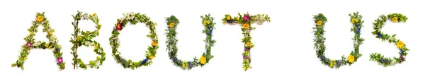 Квітучі Квіткові Листи Побудова Англійського Слова Про Нас Барвисті Весняні — стокове фото