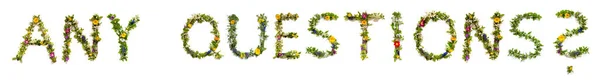 花文字の開花英語の単語を構築します 色とりどりの春と夏の花 白の隔離された背景 — ストック写真