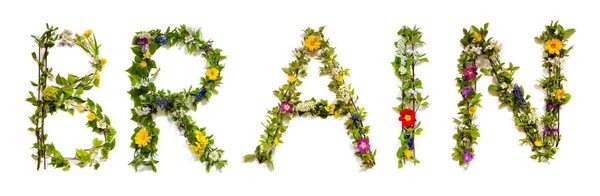 Blooming Flower Letters Building English Word Brain Barevné Jarní Letní — Stock fotografie