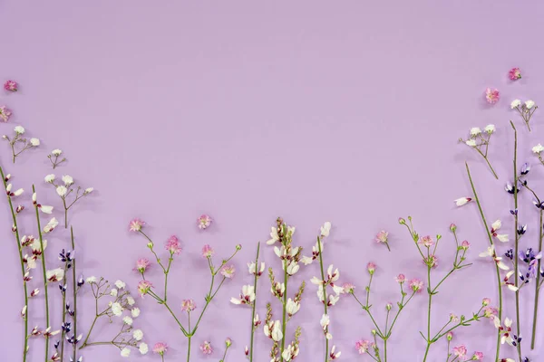 stock image White And Purple Spring Flower Arrangement With Copy Space For Free Text. Lavender Color Paper Background