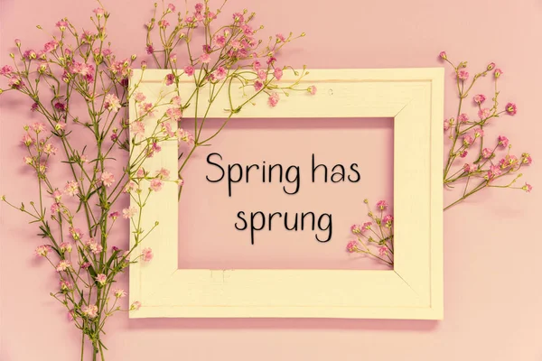 Vintage Photo Frame Ikebana Flower Arrangement English Text Spring Has — Stockfoto