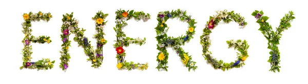 英単語エネルギーを構築する花の手紙を咲かせます 夏と春の季節の花と花レイ — ストック写真