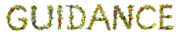 Цветущие Буквы Строят Английское Слово Танец Цветные Весенние Летние Цветы — стоковое фото