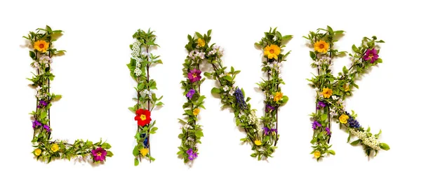 Virágzó Virág Levelek Épület Angol Word Link Színes Tavaszi Nyári — Stock Fotó