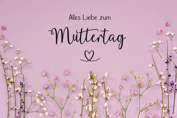 白色和紫色春花搭配德语字幕Alles Liebe Zum Muttertag意为 母亲节快乐 薰衣草色纸背景 — 图库照片