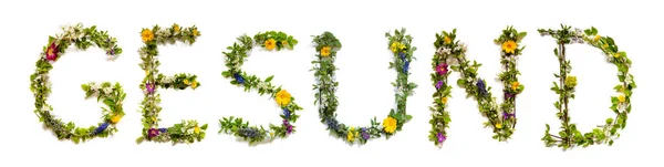 Blommande Blombokstäver Bygga Tyska Ord Gesund Innebär Hälsosamt Sommar Och — Stockfoto
