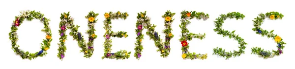 Blooming Flower Letters Building Inglês Palavra Unidade Colorido Primavera Verão — Fotografia de Stock