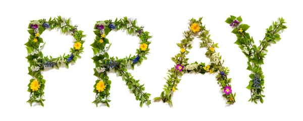 Blooming Flower Letters Building Inglês Palavra Ore Verão Primavera Temporada — Fotografia de Stock