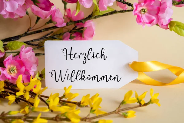Spring Flower Arrangement With White Label With German Text Herzlich Willkommen Means Welcome. Colorful Flower Branch Decoration With Yellow And Purple Blossoms.