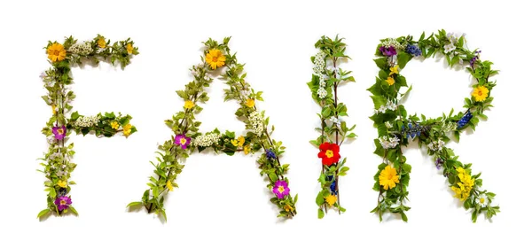 Квітучі Квіти Листи Будівництво Англійське Слово Ярмарок Барвисті Весняні Літні — стокове фото
