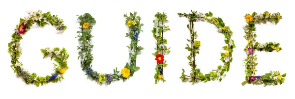 Квітучі Квіткові Листи Побудова Англійського Керівництва Словом Барвисті Весняні Літні — стокове фото