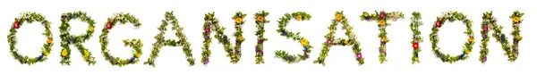 Bloeiende Bloemen Brieven Bouwen Engels Word Organisatie Zomer Lente Seizoen — Stockfoto