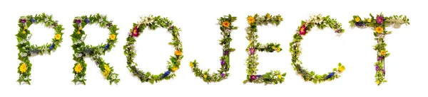 Blooming Flower Letters Building English Word Project Colorido Primavera Verão — Fotografia de Stock