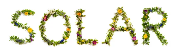Blommande Blombokstäver Bygga Engelska Word Solar Sommar Och Vår Säsong — Stockfoto