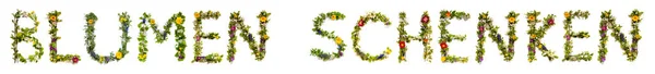 Blooming Flower Letters Building German Word Blumen Schenken Significa Dar — Fotografia de Stock