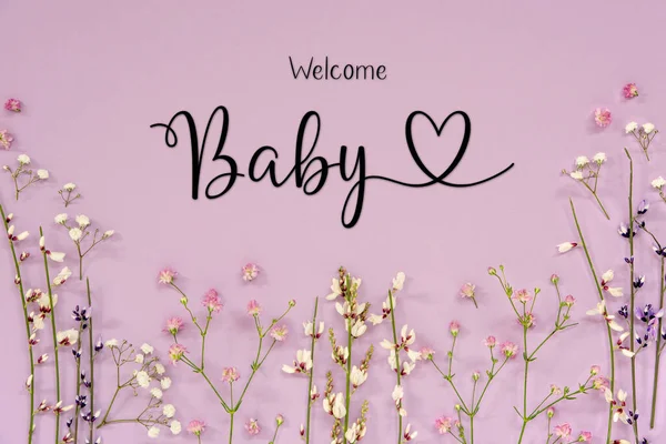 Arreglo Flores Primavera Blanco Púrpura Con Texto Inglés Bienvenido Bebé — Foto de Stock