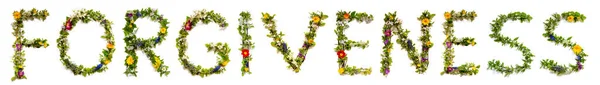 Цветущие Буквы Строят Английское Слово Прощение Цветные Весенние Летние Цветы — стоковое фото
