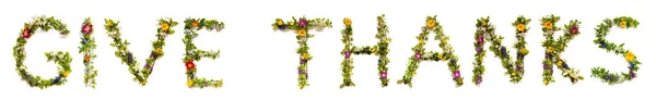 Цветущие Буквы Английского Языка Дайте Спасибо Летний Весенний Сезон Цветы — стоковое фото