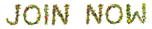 Квітучі Букви Квітів Побудова Англійського Слова Приєднуйтесь Зараз Барвисті Весняні — стокове фото