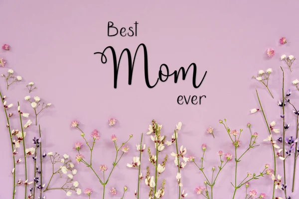 白色和紫色的春天花的排列与英文文本最好的妈妈 薰衣草色纸背景 — 图库照片