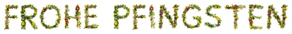 花の手紙を咲かせるドイツ語の単語を構築するFrohe Pfinstenは幸せなペンテコステを意味します 色とりどりの春と夏の花 白の隔離された背景 — ストック写真