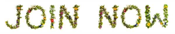 Bloeiende Bloemen Brieven Bouwen Engels Woord Vakantie Kleurrijke Lente Zomer — Stockfoto