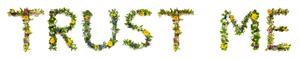 Квітучі Квіткові Листи Побудова Англійського Тексту Довіртеся Мені Літо Весна — стокове фото