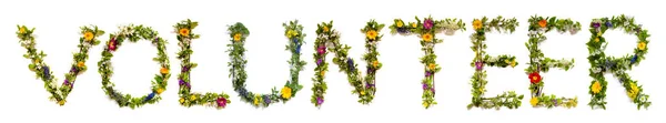 Blooming Flower Letters Building English Word Volunteer Summer Spring Season — Stock Photo, Image