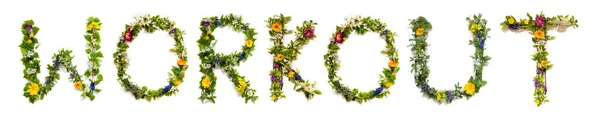 Цветущие Буквы Построения Английского Word Workout Летний Весенний Сезон Цветы — стоковое фото