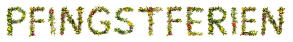 Квітучі Квіткові Листи Будівництво Німецького Слова Pfingsferien Означає Ятидесятницю Свят — стокове фото