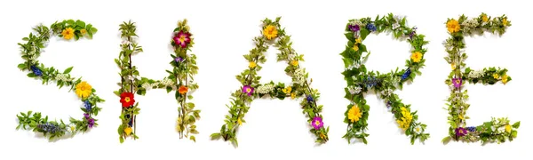 Blooming Flower Letters Building Português Word Share Verão Primavera Temporada — Fotografia de Stock