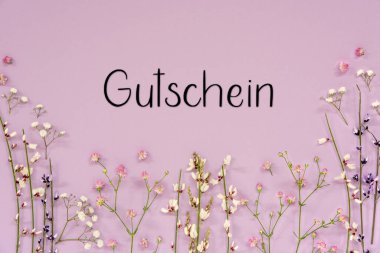 Beyaz ve Mor Bahar Çiçeği Düzenlemesi Alman Metin Gutschein 'i Makbuz Anlamı. Lavanta Rengi Kağıt Arkaplanı